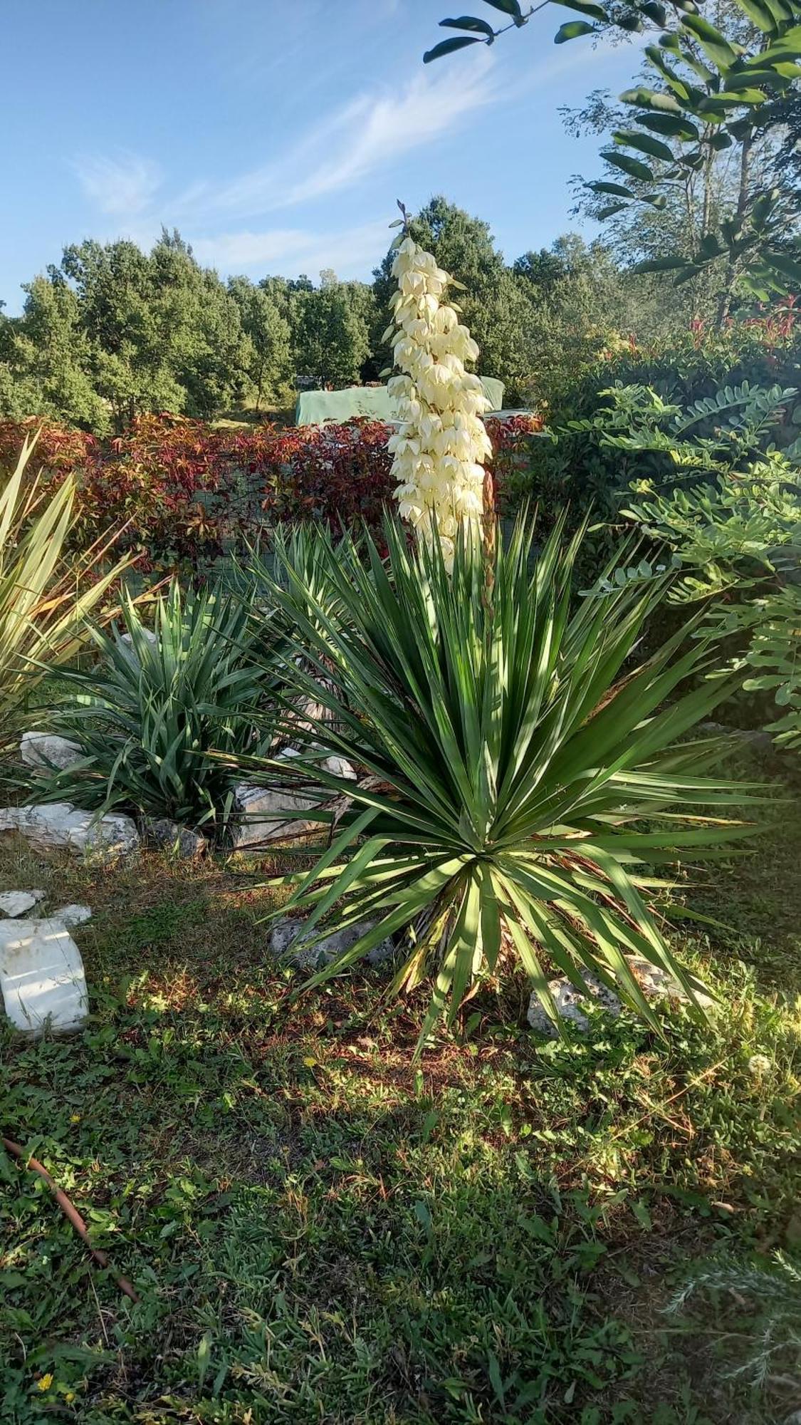 Villa Malini 그로즈냔 외부 사진